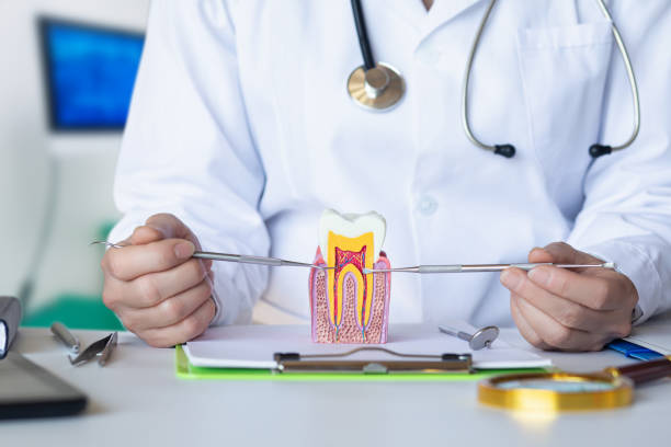 Best Weekend Emergency Dentist in Pleasant Ridge, MI